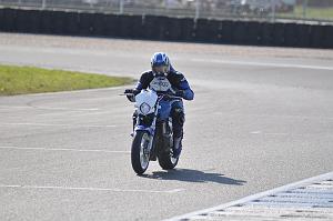 debutant (36)
